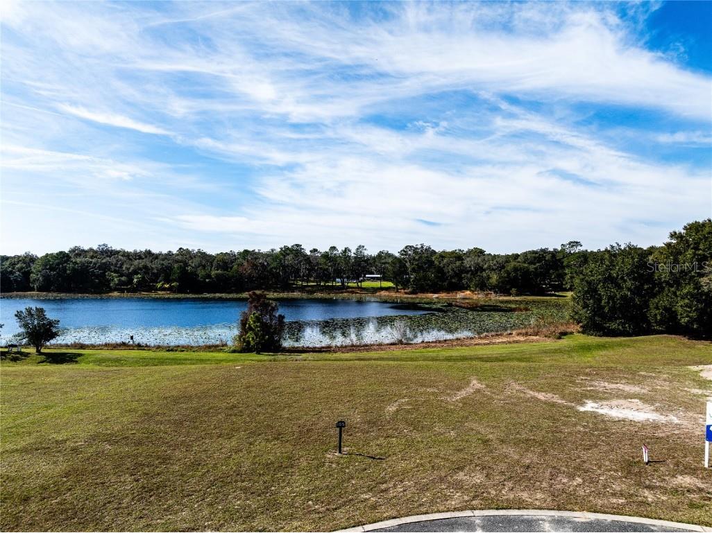 85 Fairway Circle Umatilla FL 32784 G5076994 image11