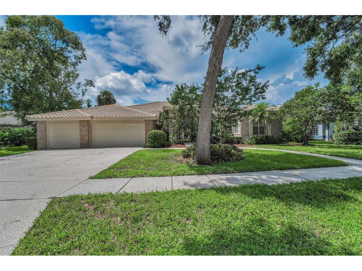 85 Kelleys Trail Oldsmar FL 34677 TB8419119 image47