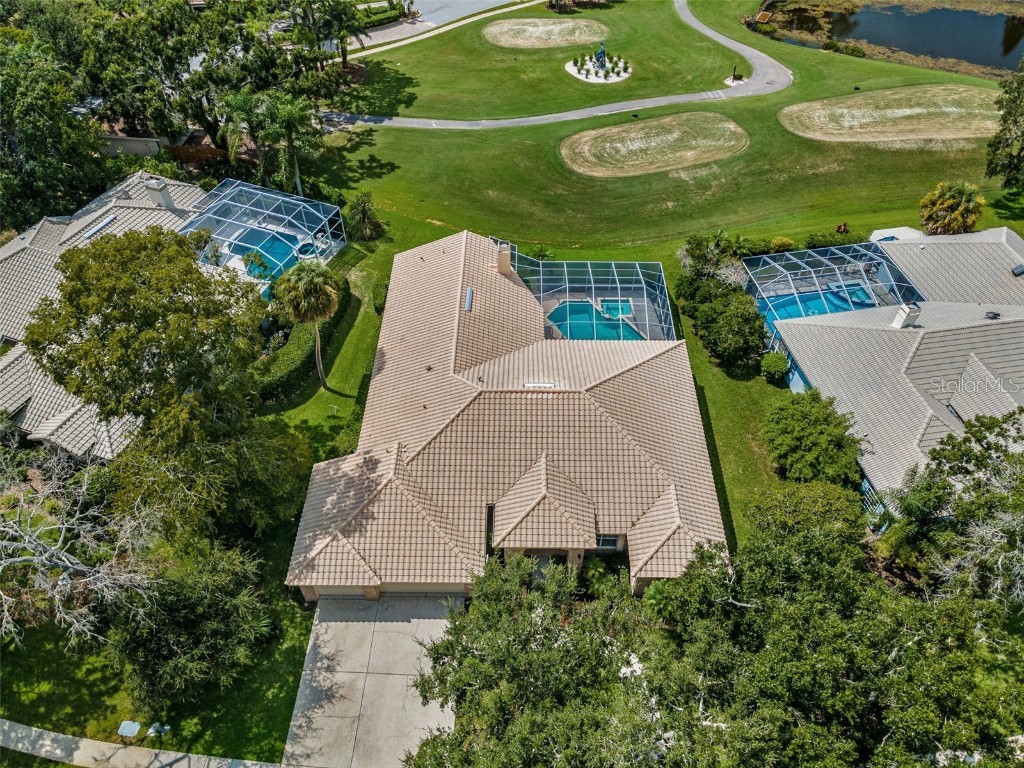 85 Kelleys Trail Oldsmar FL 34677 TB8419119 image50