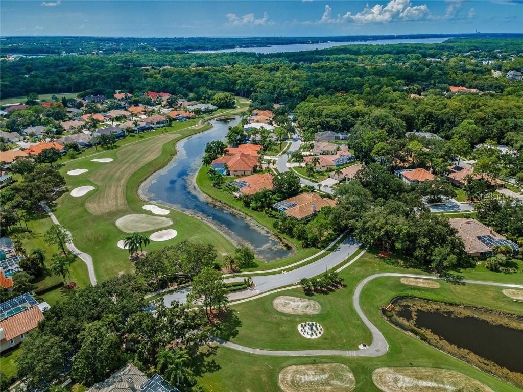 85 Kelleys Trail Oldsmar FL 34677 TB8419119 image51