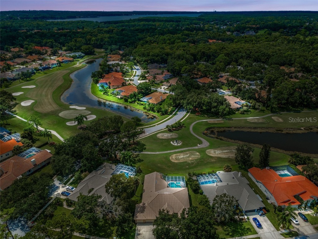 85 Kelleys Trail Oldsmar FL 34677 TB8419119 image60