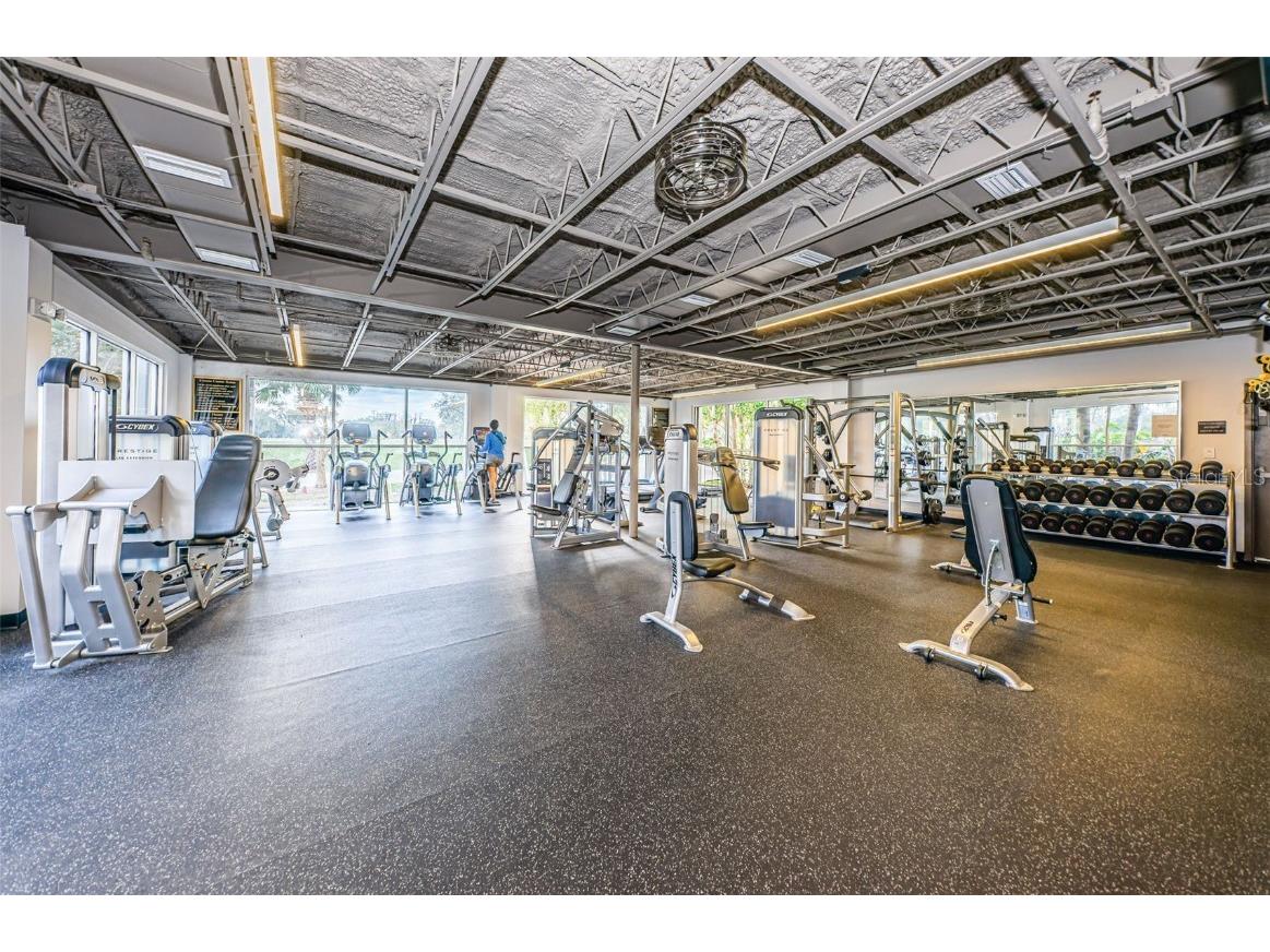 85 Kelleys Trail Oldsmar FL 34677 TB8419119 image67