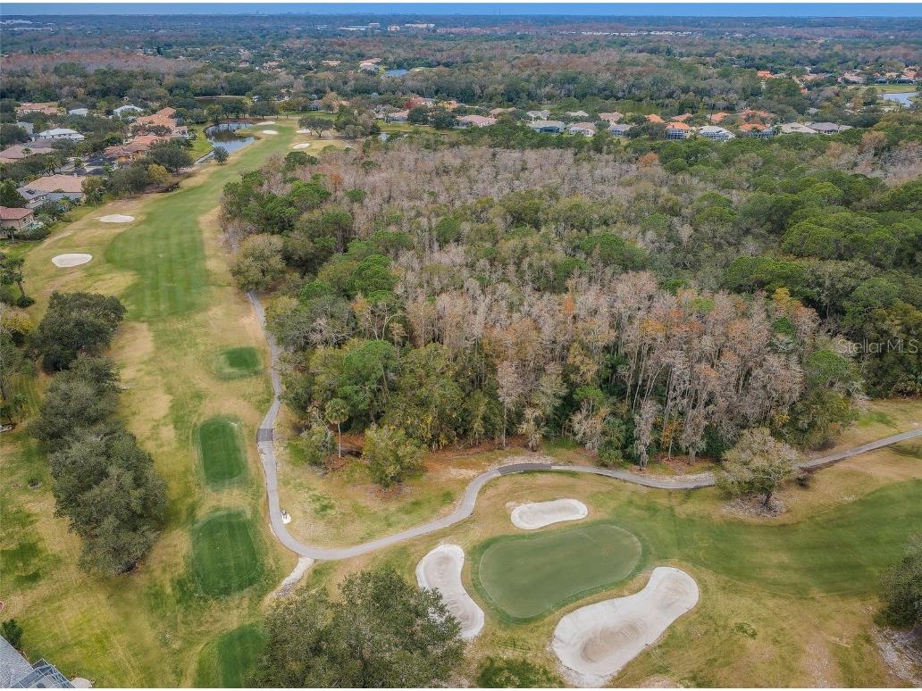 85 Kelleys Trail Oldsmar FL 34677 TB8419119 image71