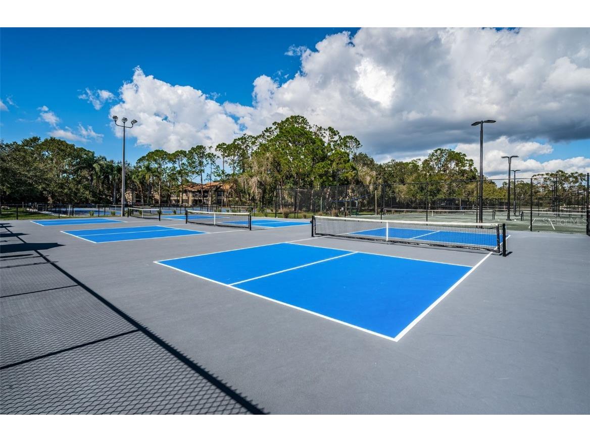 85 Kelleys Trail Oldsmar FL 34677 TB8419119 image73