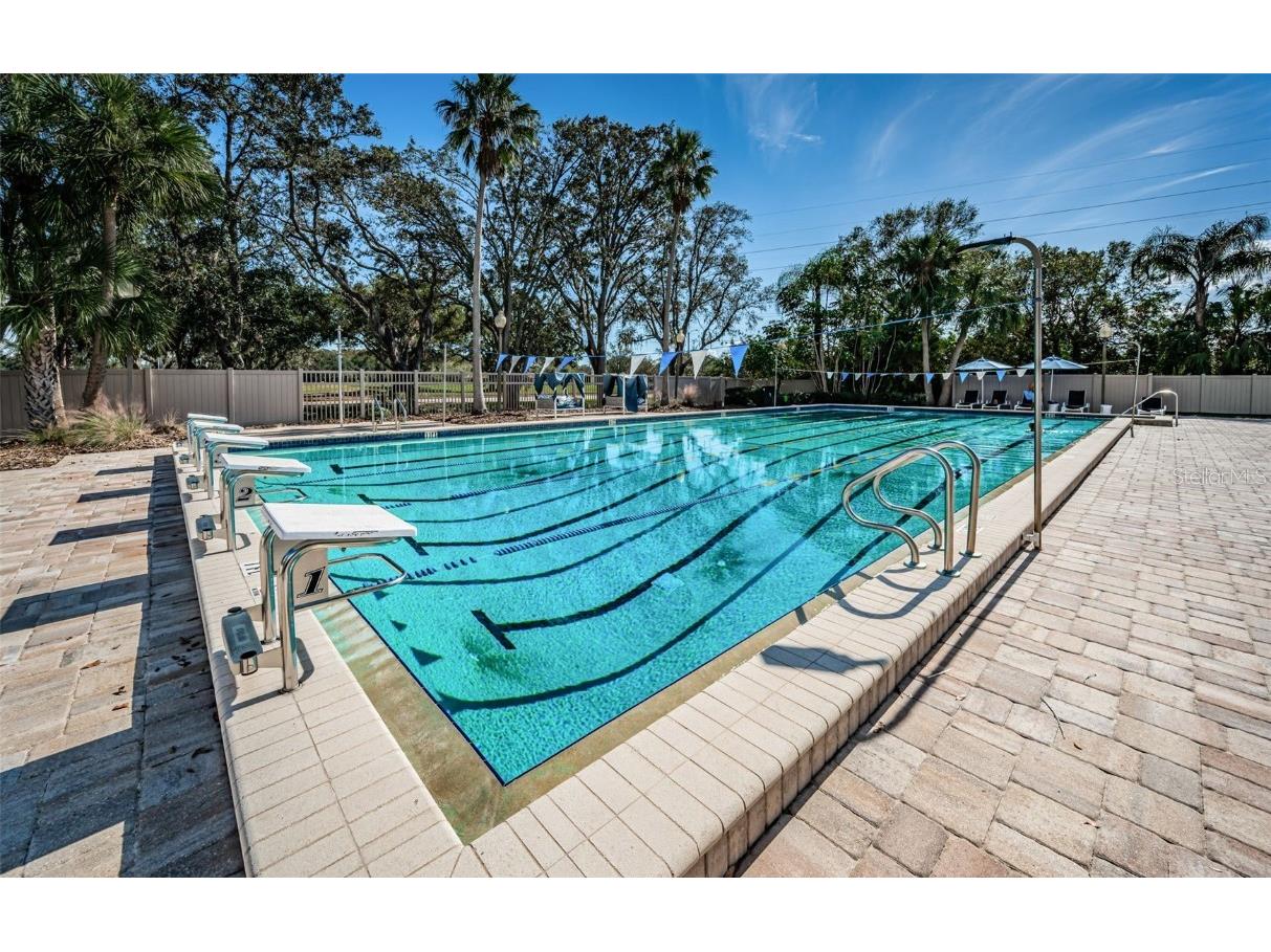 85 Kelleys Trail Oldsmar FL 34677 TB8419119 image75