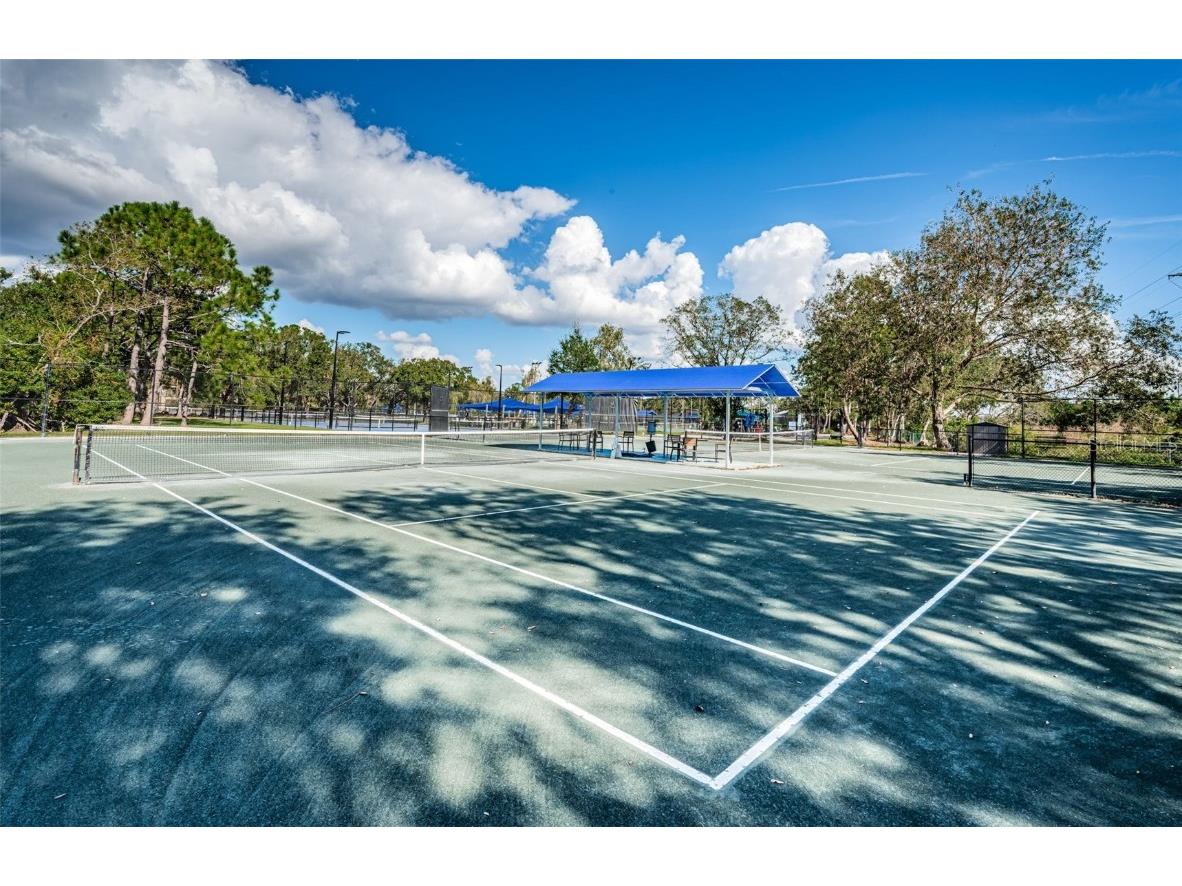 85 Kelleys Trail Oldsmar FL 34677 TB8419119 image77