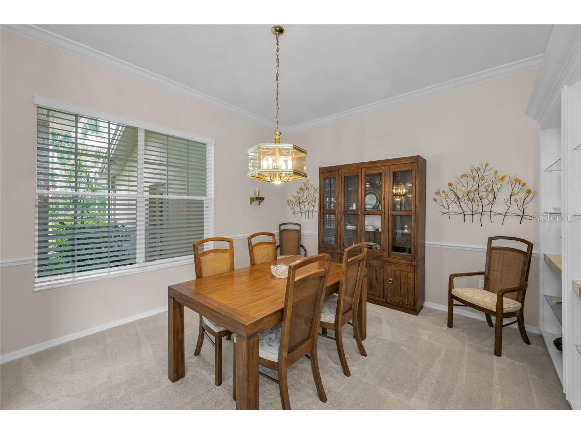 85 Kelleys Trail Oldsmar FL 34677 TB8419119 image9