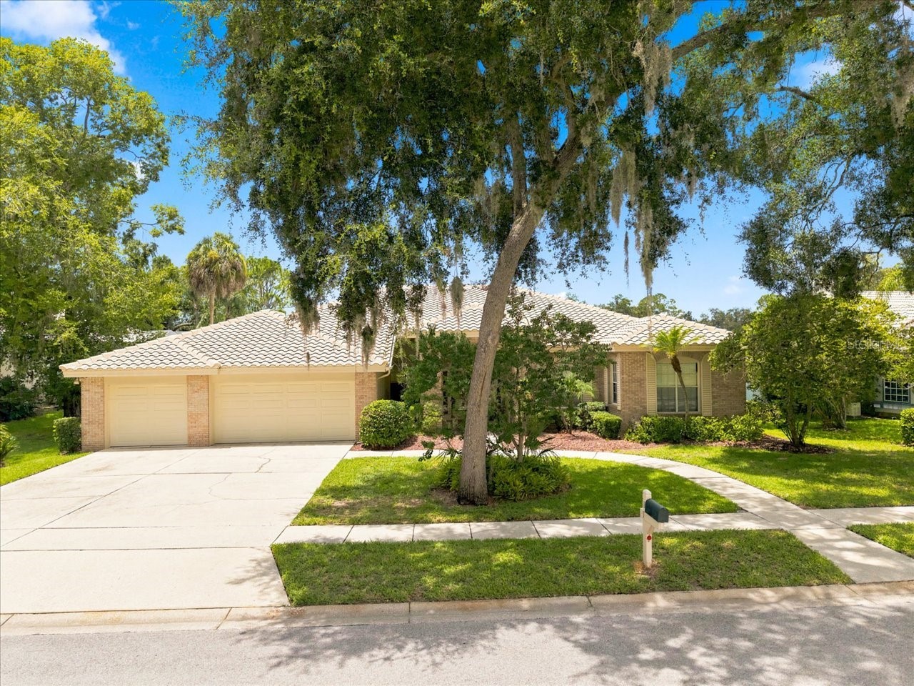 85 Kelleys Trail Oldsmar FL 34677 TB8527215 image1