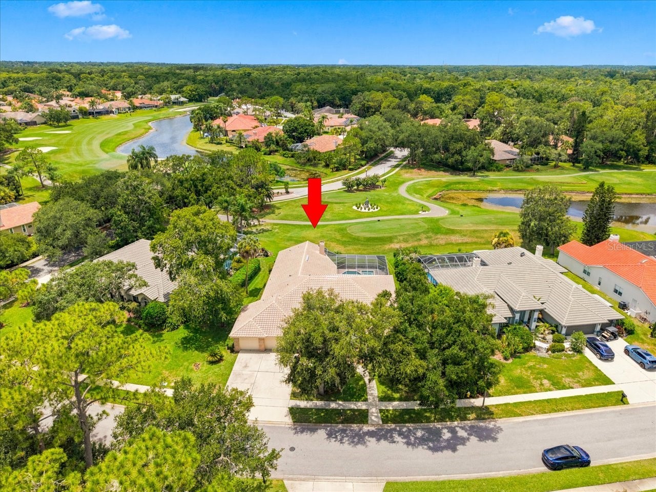 85 Kelleys Trail Oldsmar FL 34677 TB8527215 image3