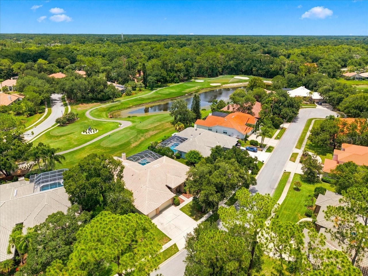 85 Kelleys Trail Oldsmar FL 34677 TB8527215 image4