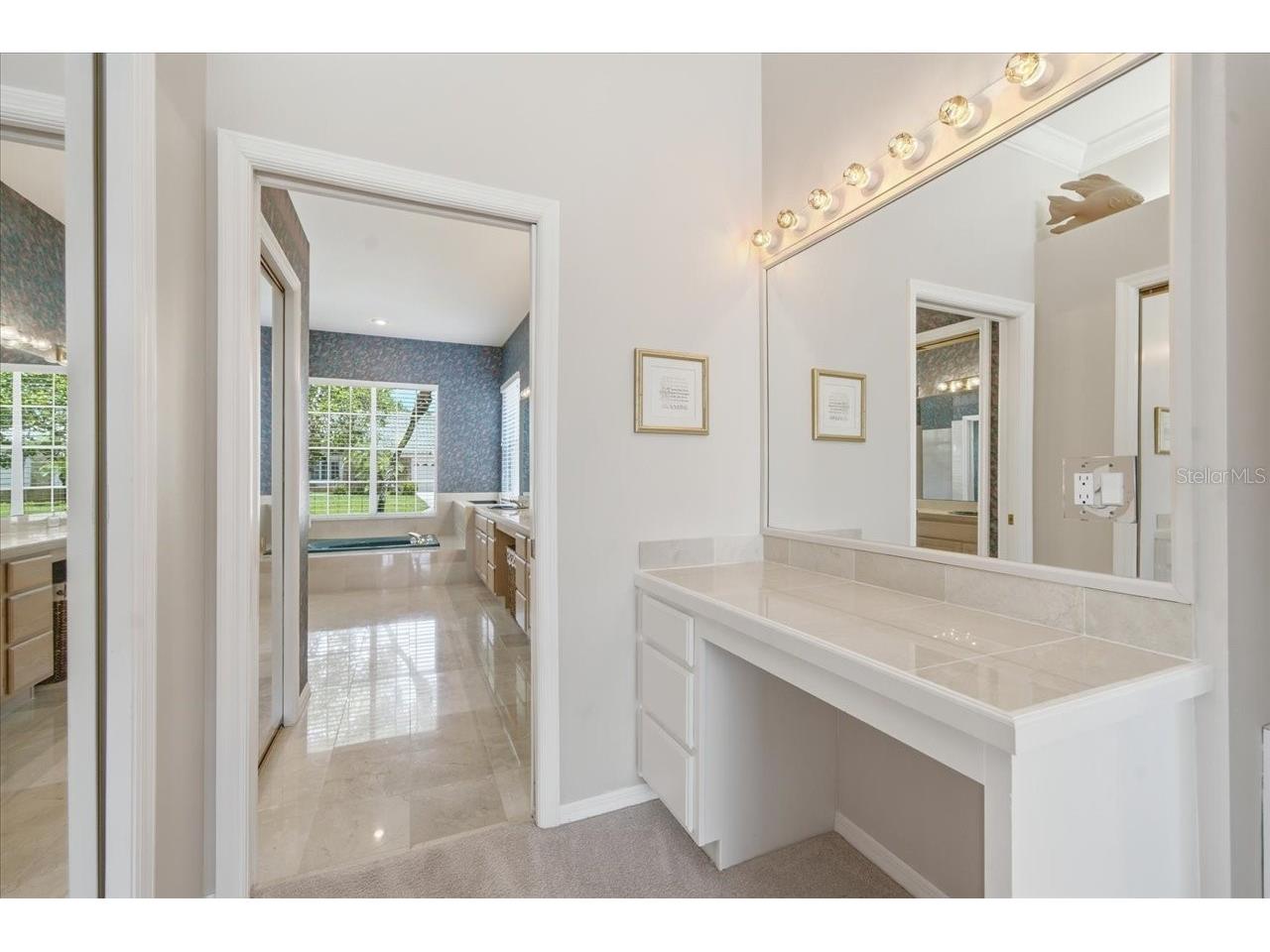 85 Kelleys Trail Oldsmar FL 34677 TB8527215 image47