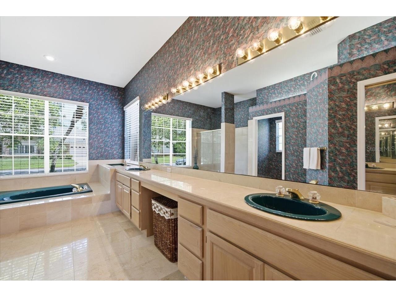 85 Kelleys Trail Oldsmar FL 34677 TB8527215 image48