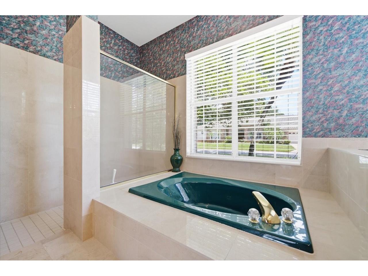 85 Kelleys Trail Oldsmar FL 34677 TB8527215 image50