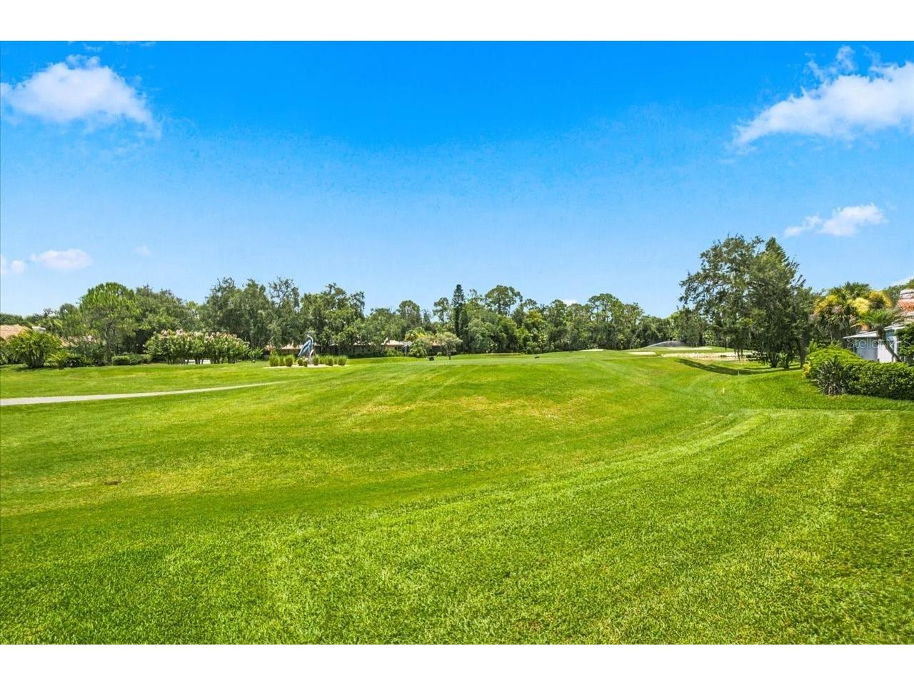 85 Kelleys Trail Oldsmar FL 34677 TB8527215 image61