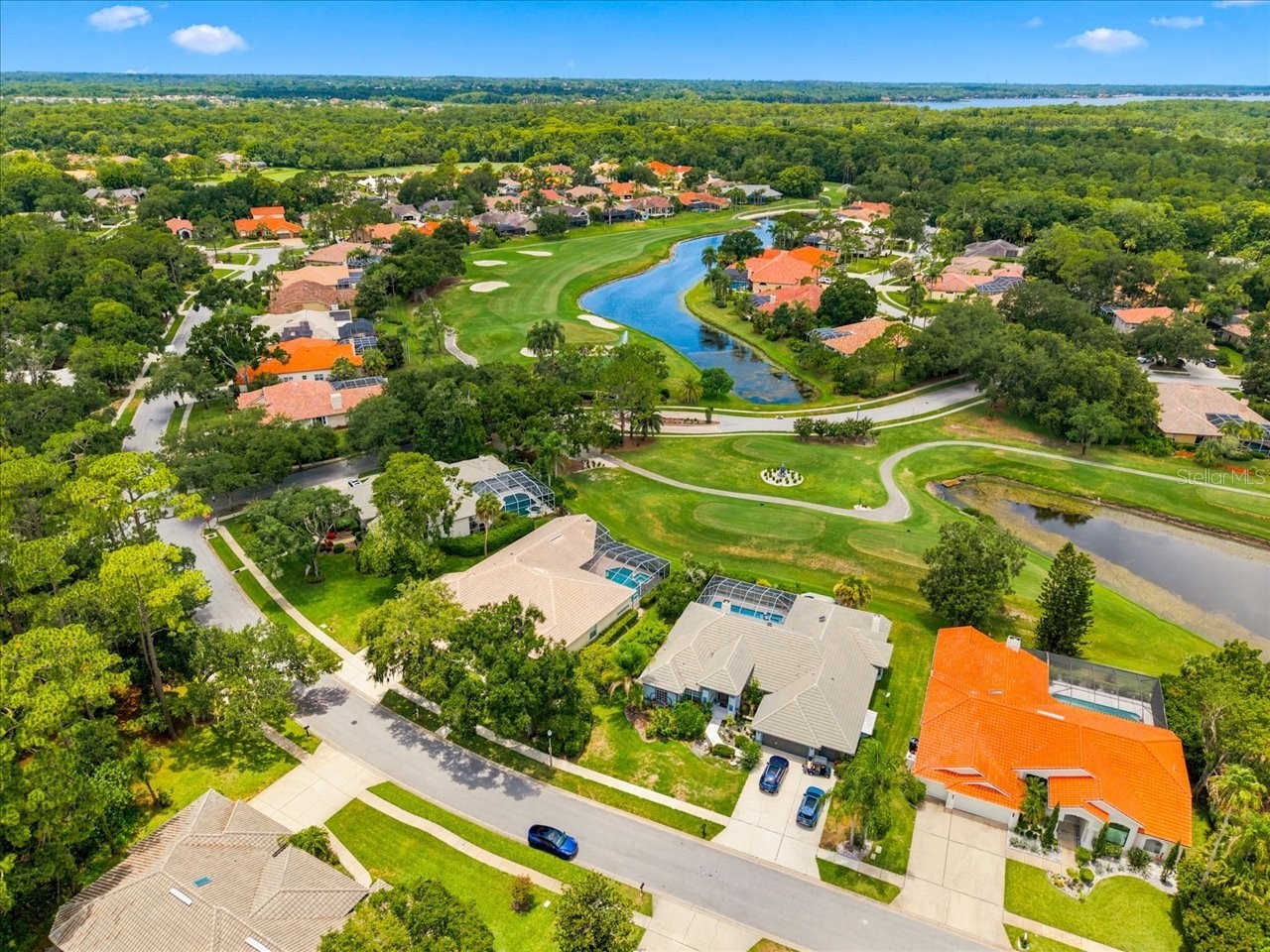 85 Kelleys Trail Oldsmar FL 34677 TB8527215 image82