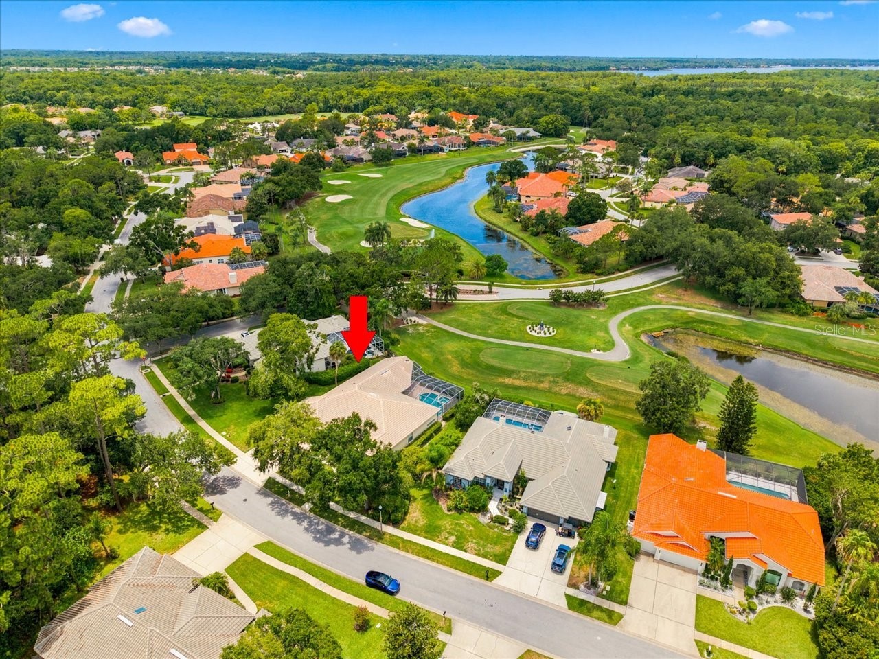 85 Kelleys Trail Oldsmar FL 34677 TB8527215 image83