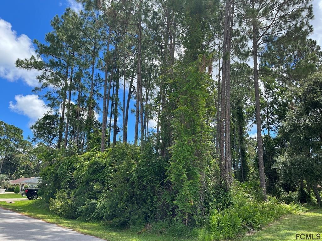 85 Port Royal Drive Palm Coast FL 32164 FC319780 image2
