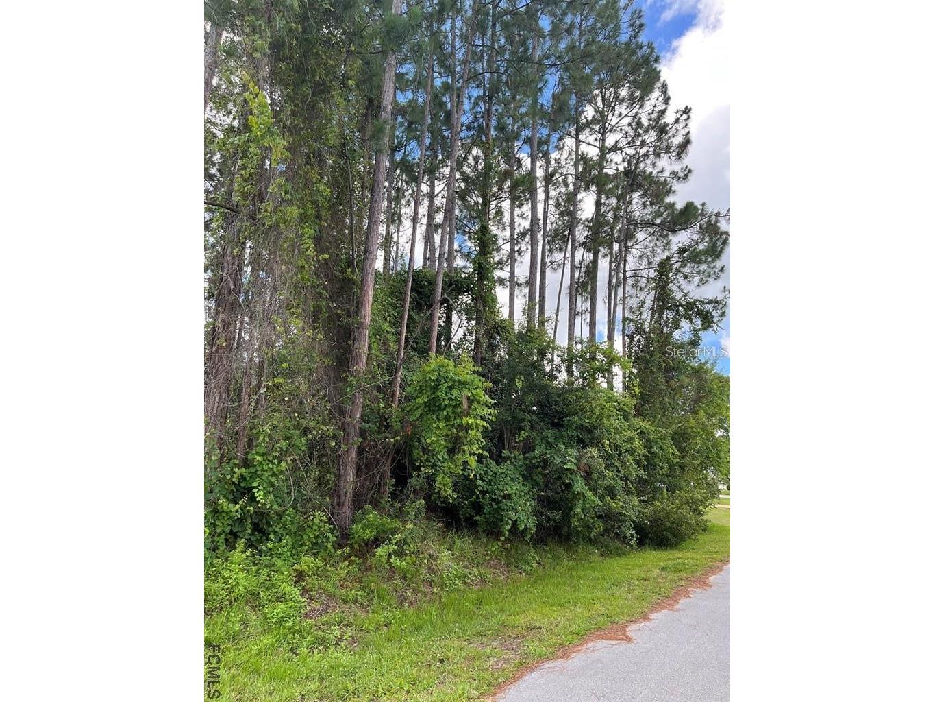 85 Port Royal Drive Palm Coast FL 32164 FC319780 image4