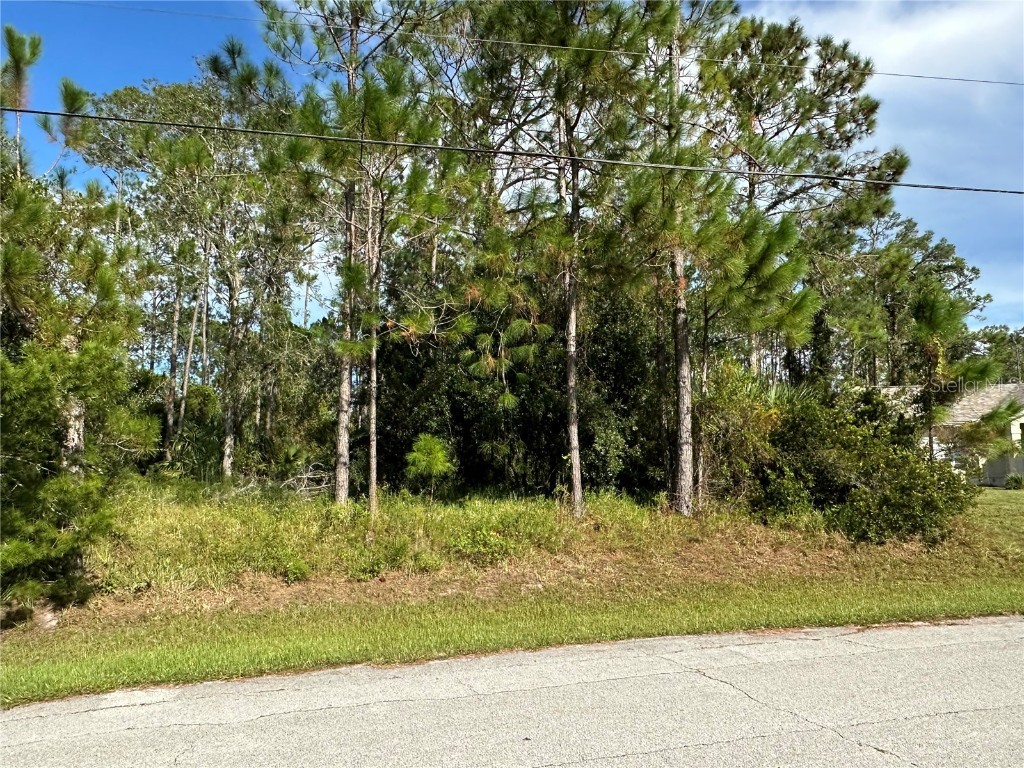 85 Presidential Lane Palm Coast FL 32164 FC312935 image1
