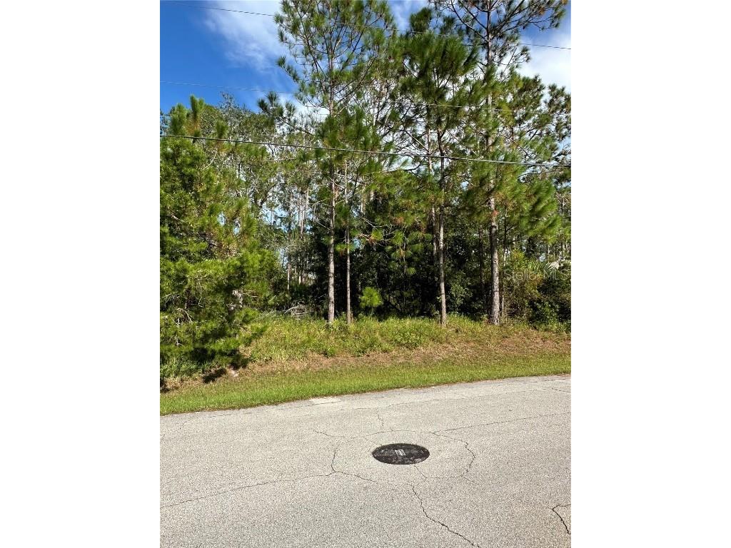 85 Presidential Lane Palm Coast FL 32164 FC312935 image10