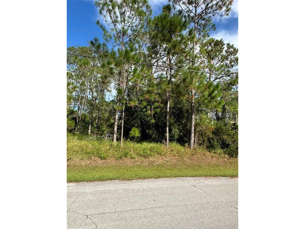 85 Presidential Lane Palm Coast FL 32164 FC312935 image11