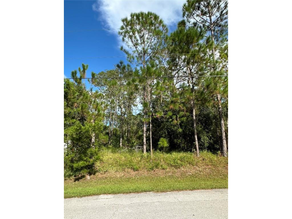 85 Presidential Lane Palm Coast FL 32164 FC312935 image3