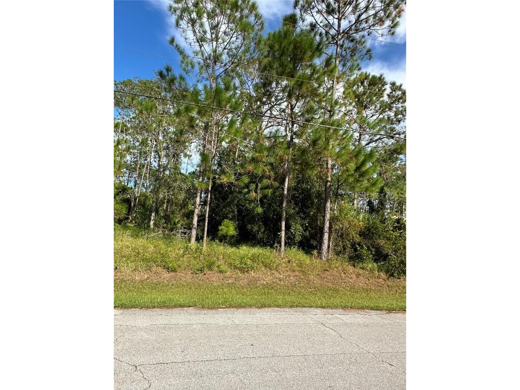 85 Presidential Lane Palm Coast FL 32164 FC312935 image6