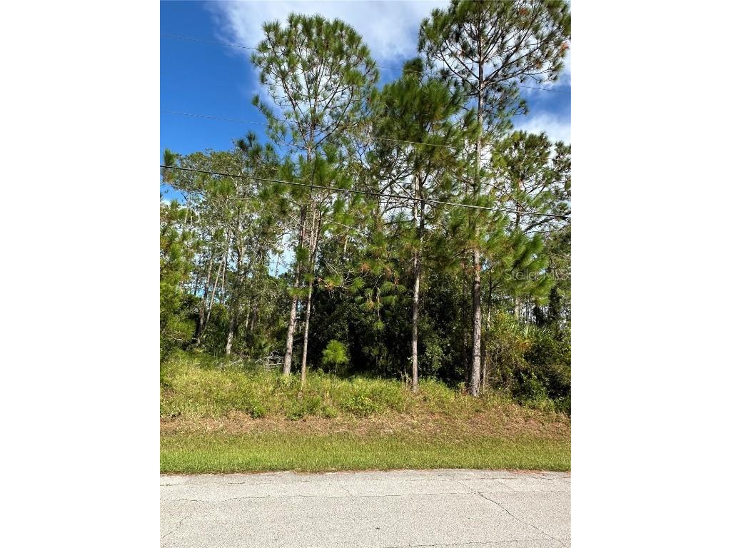 85 Presidential Lane Palm Coast FL 32164 FC312935 image7