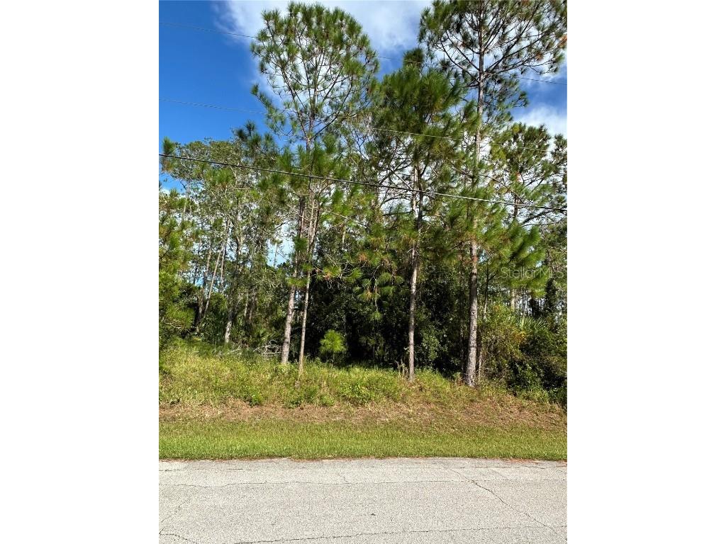 85 Presidential Lane Palm Coast FL 32164 FC312935 image8