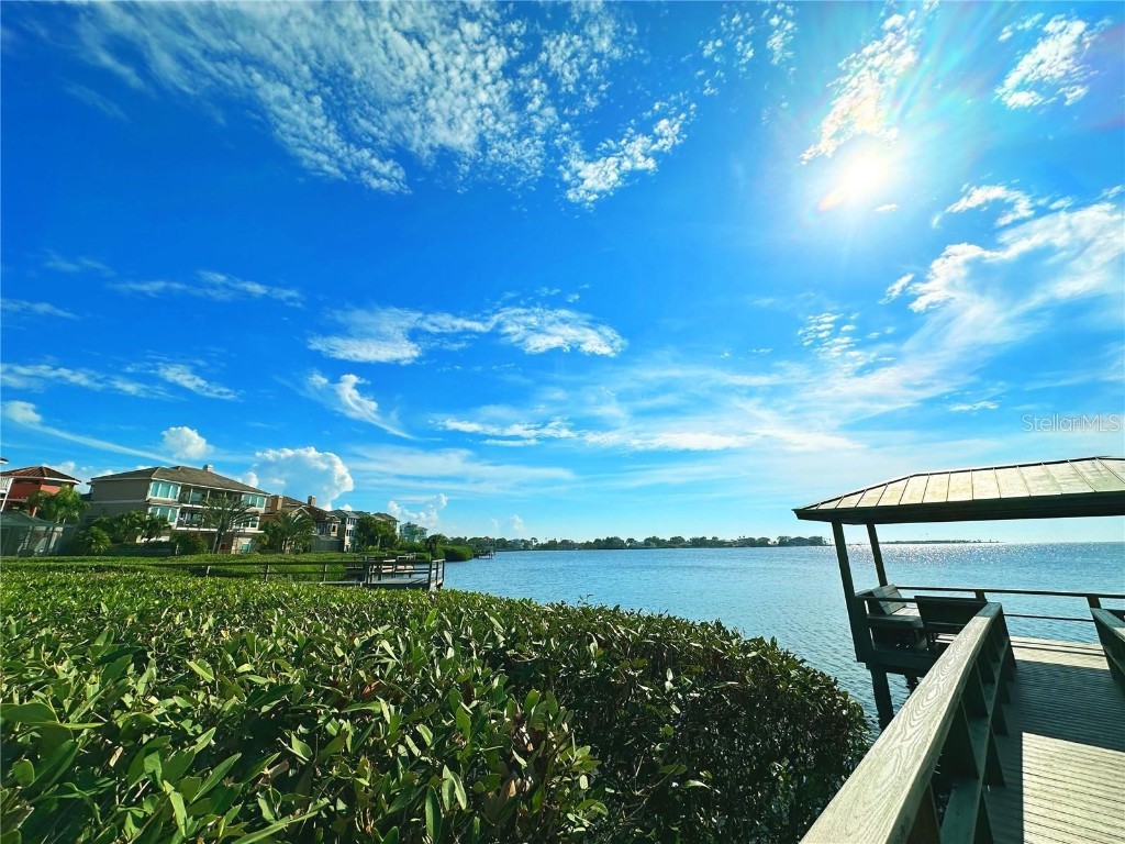 85 Sandpiper Pointe Court Tarpon Springs FL 34689 TB8384292 image15