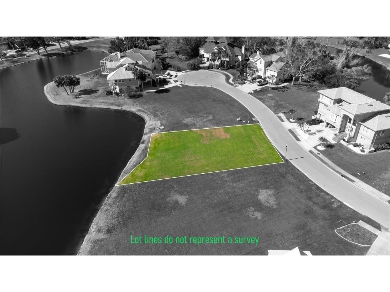 85 Sandpiper Pointe Court Tarpon Springs FL 34689 TB8384292 image16