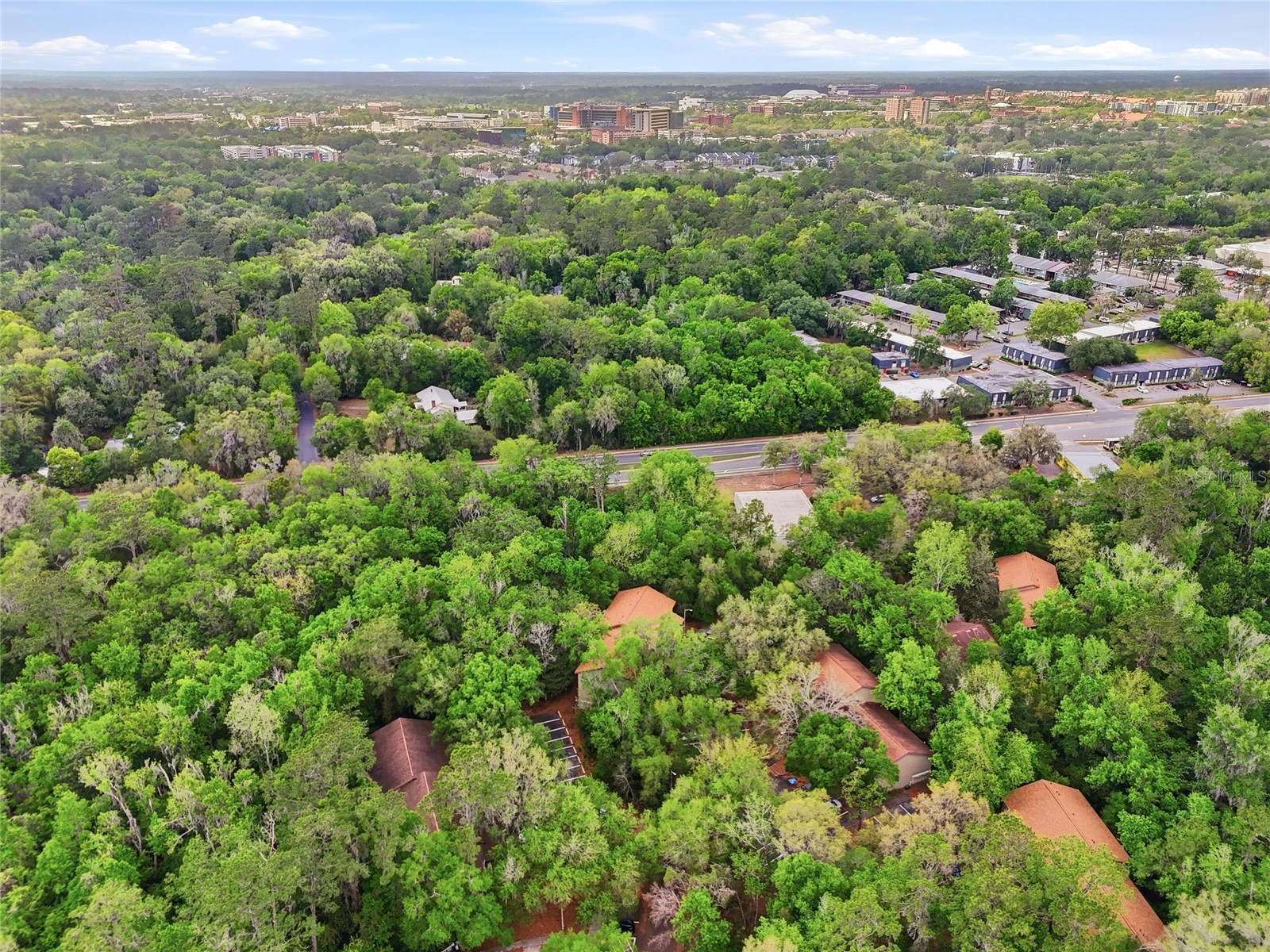 85 SE 16th Avenue #F301 Gainesville FL 32601 GC539151 image4