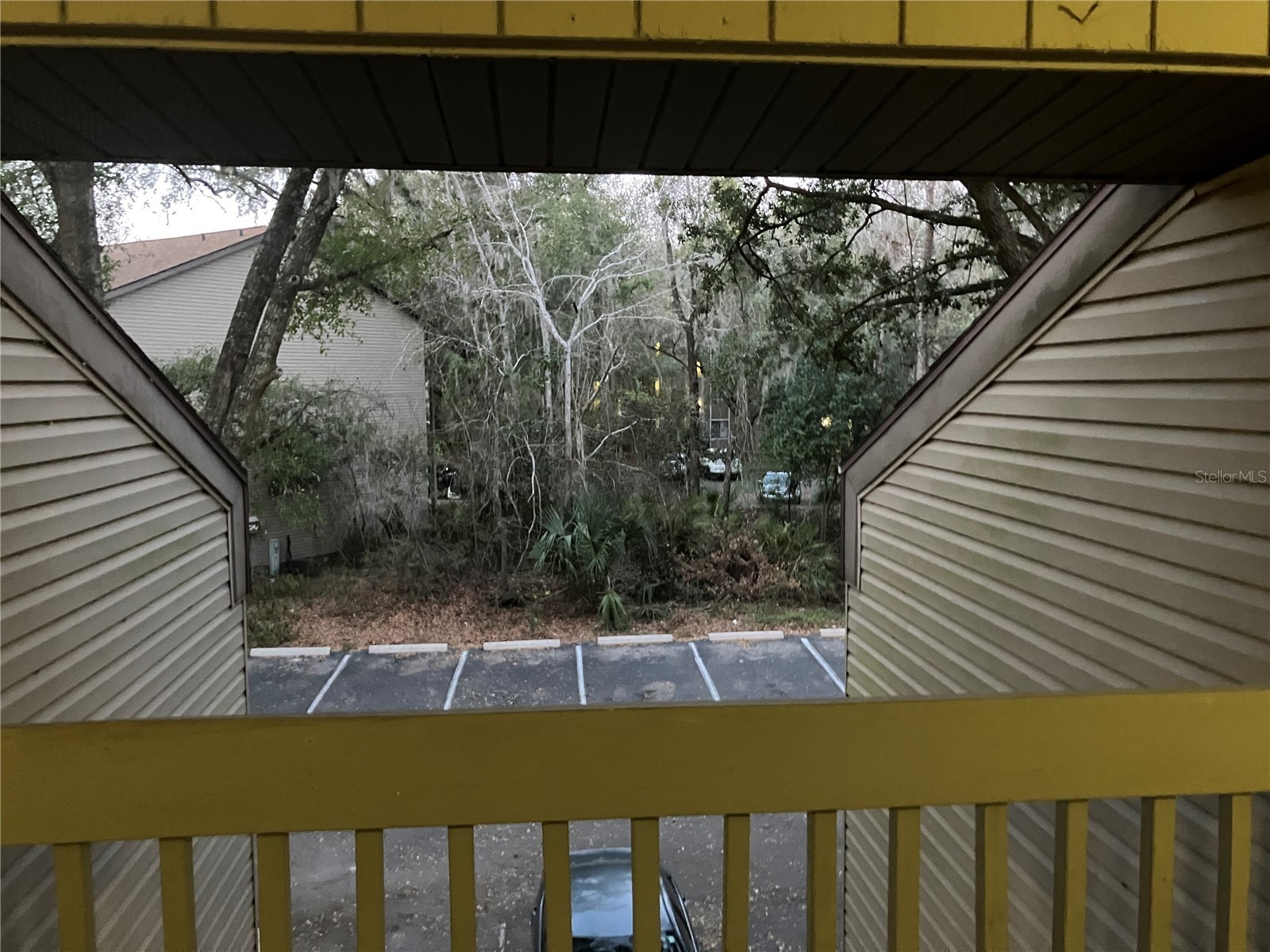 85 SE 16th Avenue #F302 Gainesville FL 32601 A4682726 image64