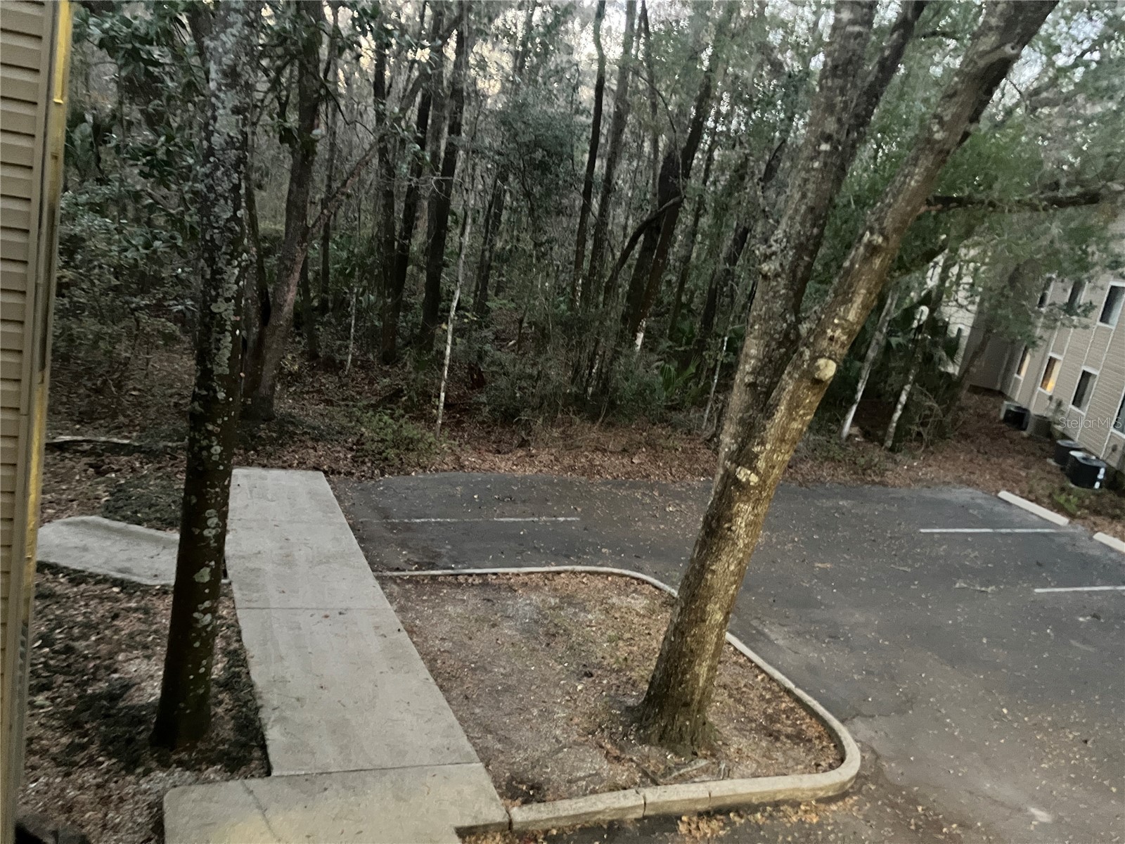 85 SE 16th Avenue #F302 Gainesville FL 32601 A4682726 image66