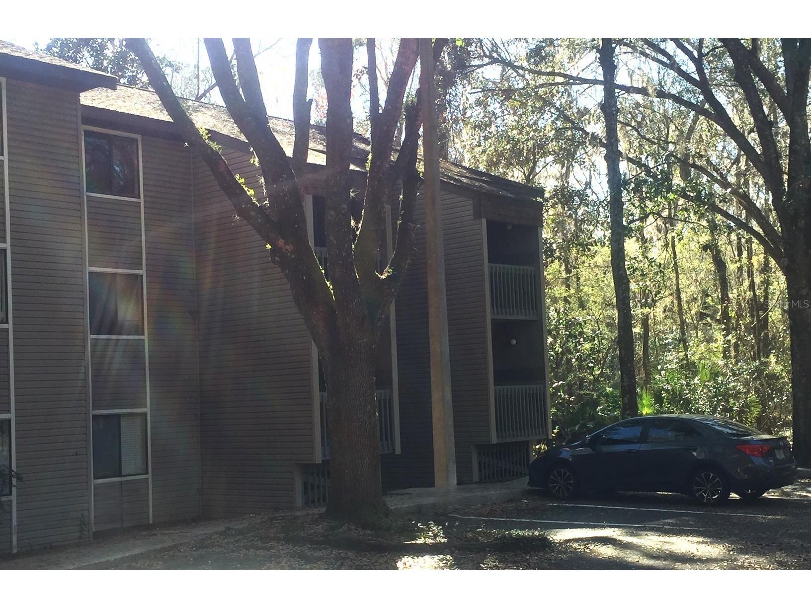 85 SE 16th Avenue #F302 Gainesville FL 32601 A4682726 image67