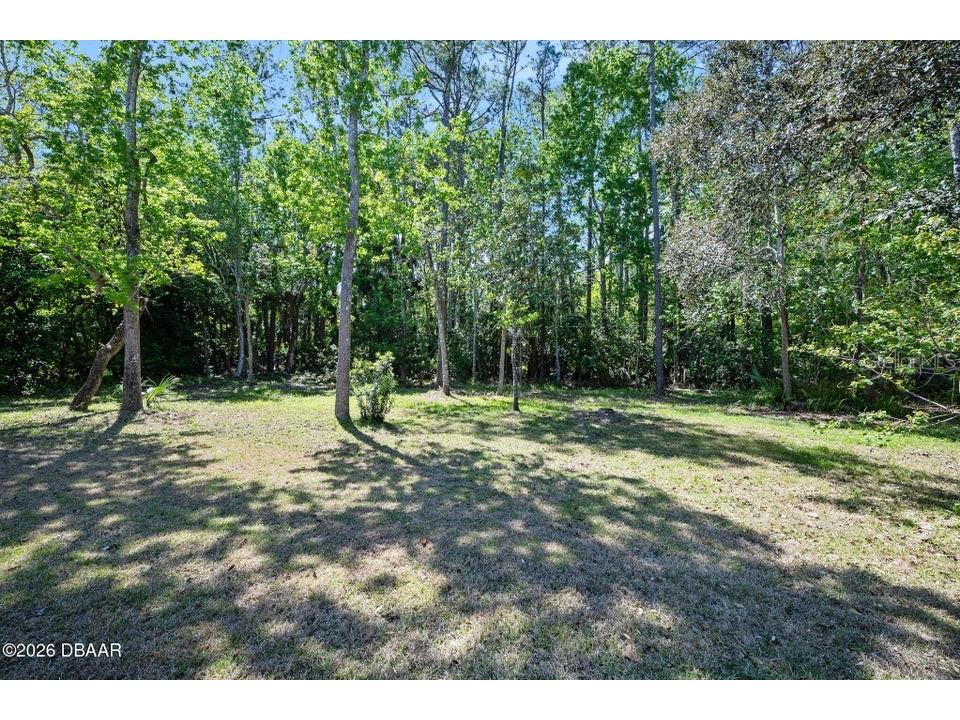 85 Shadowcreek Way Ormond Beach FL 32174 V4948211 image68