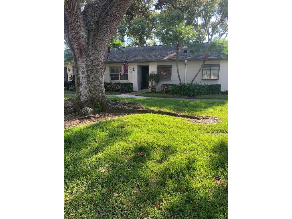 850 Cleland Court #C Palm Harbor FL 34684 U8180744 image1