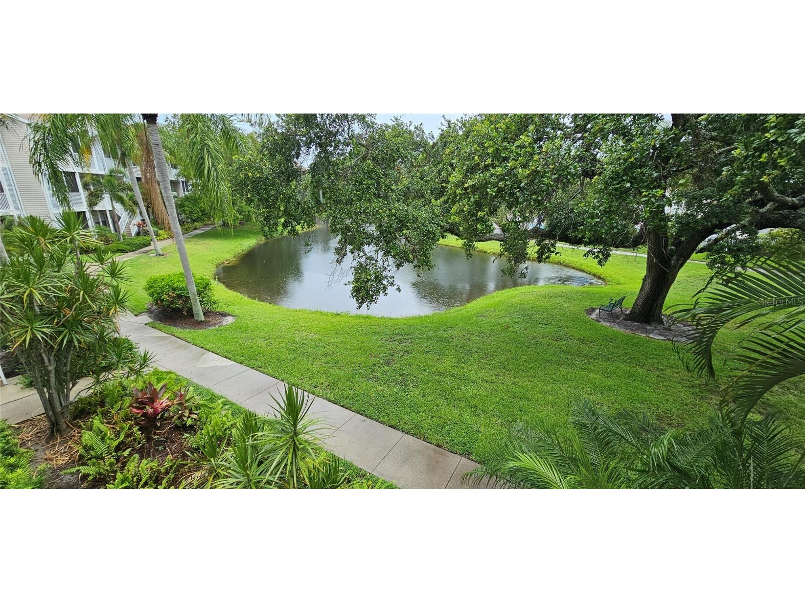 850 S Tamiami Trail #230 Sarasota FL 34236 R4909526 image1