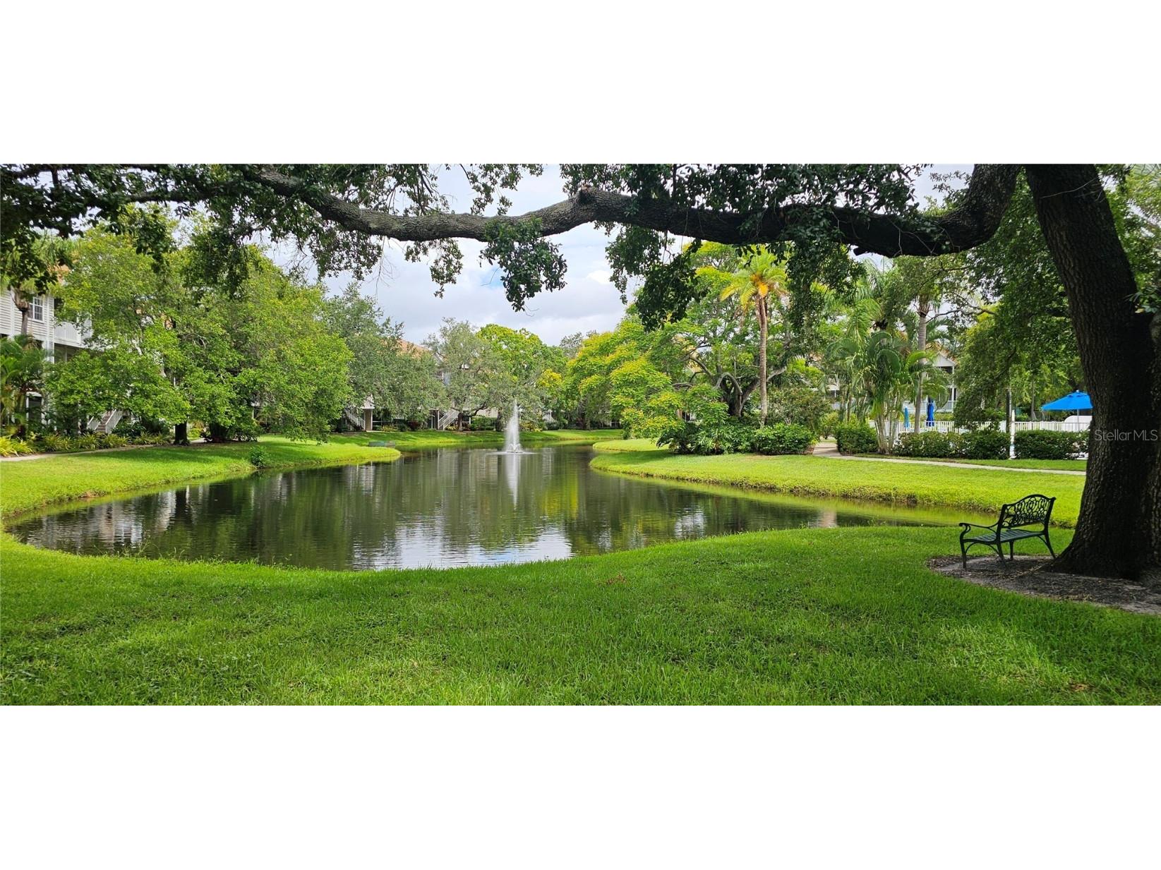 850 S Tamiami Trail #230 Sarasota FL 34236 R4909526 image2