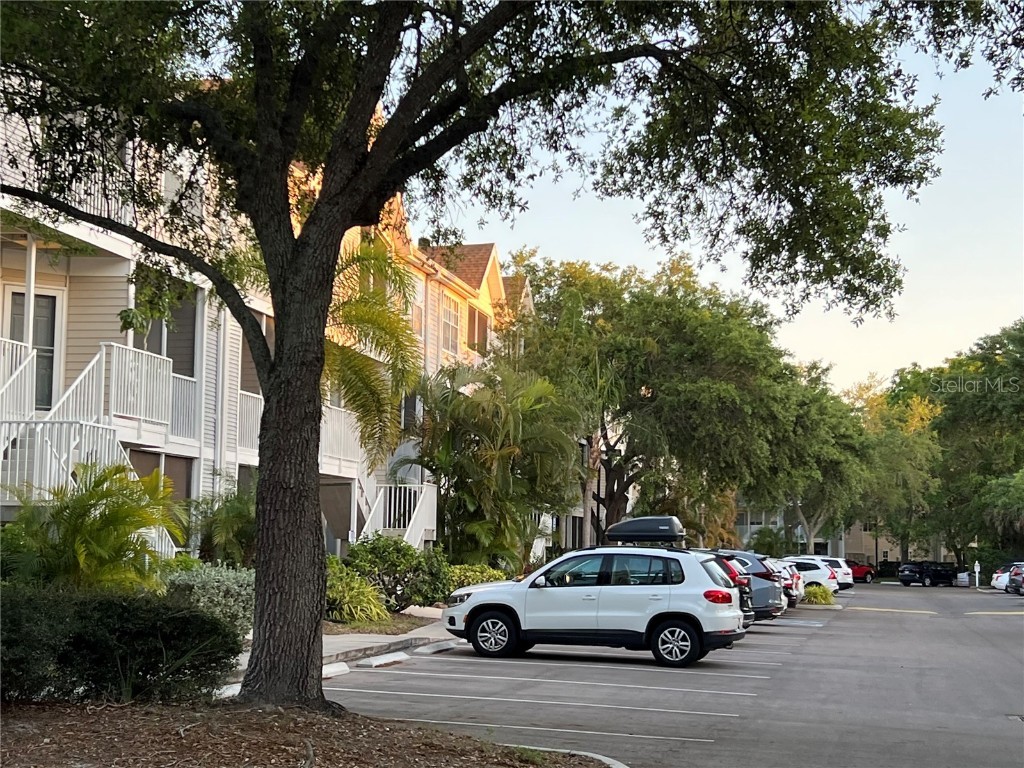 850 S Tamiami Trail #302 Sarasota FL 34236 A4647929 image16