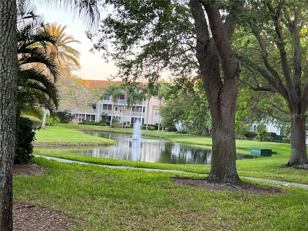 850 S Tamiami Trail #302 Sarasota FL 34236 A4647929 image17