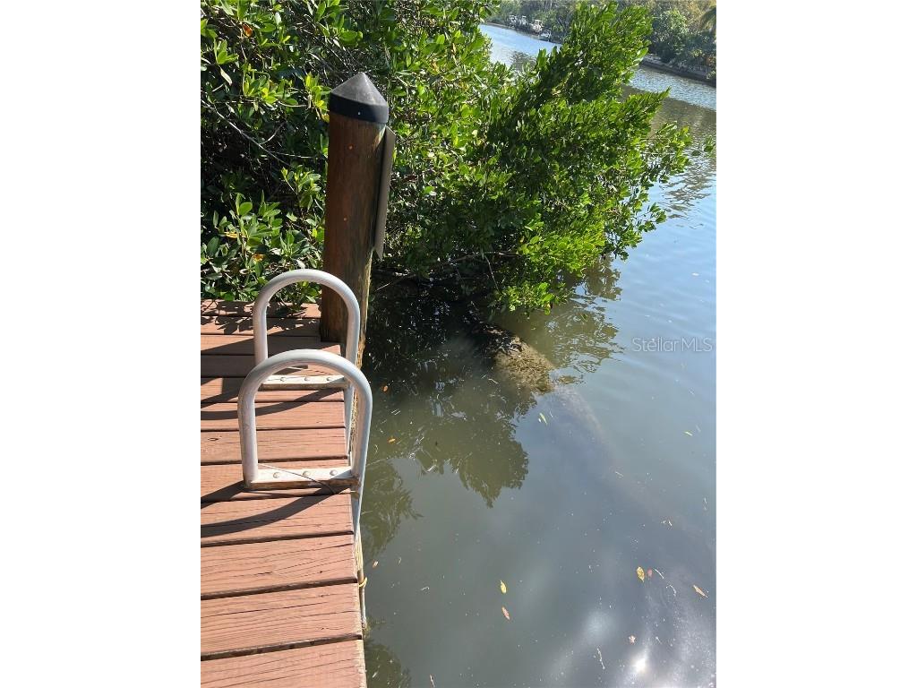 850 S Tamiami Trail #302 Sarasota FL 34236 A4647929 image24