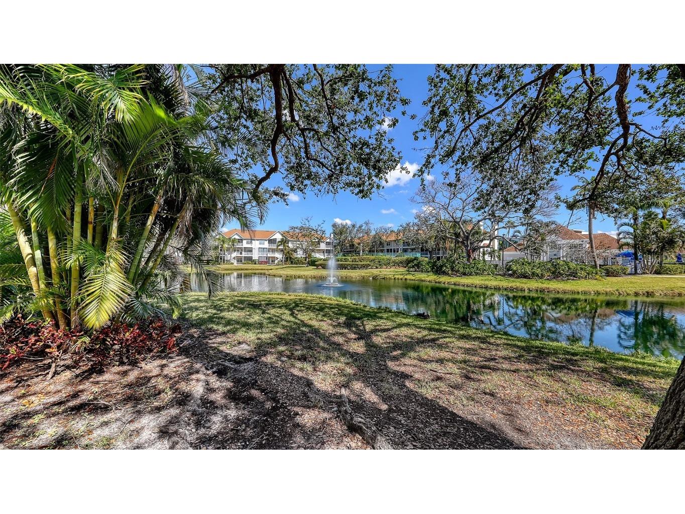850 S Tamiami Trail #307 Sarasota FL 34236 A4642589 image1
