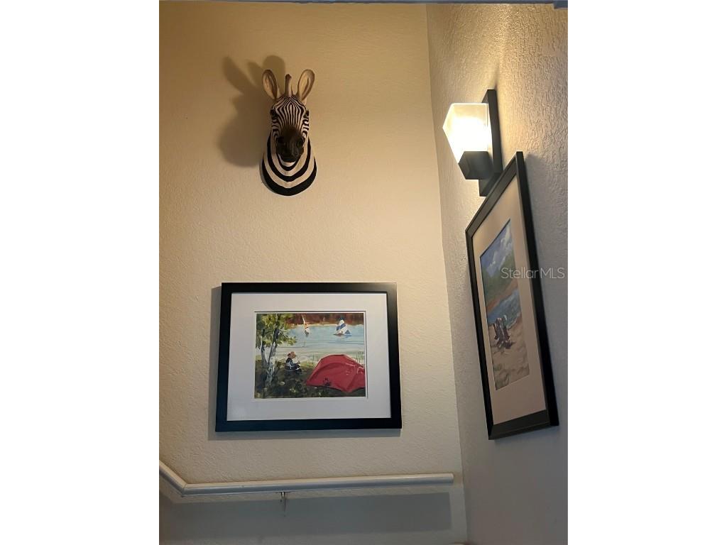 850 S Tamiami Trail #333 Sarasota FL 34236 A4648486 image20