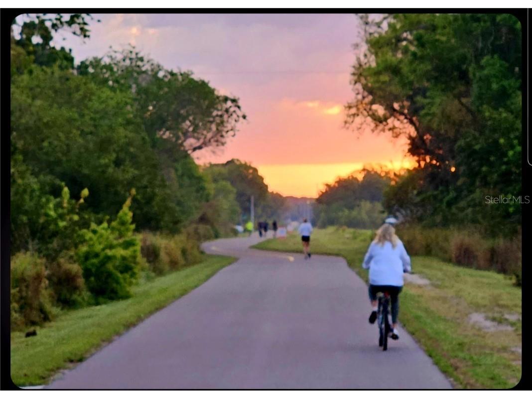 850 S Tamiami Trail #506 Sarasota FL 34236 - HUDSON BAYOU A4659953 image28