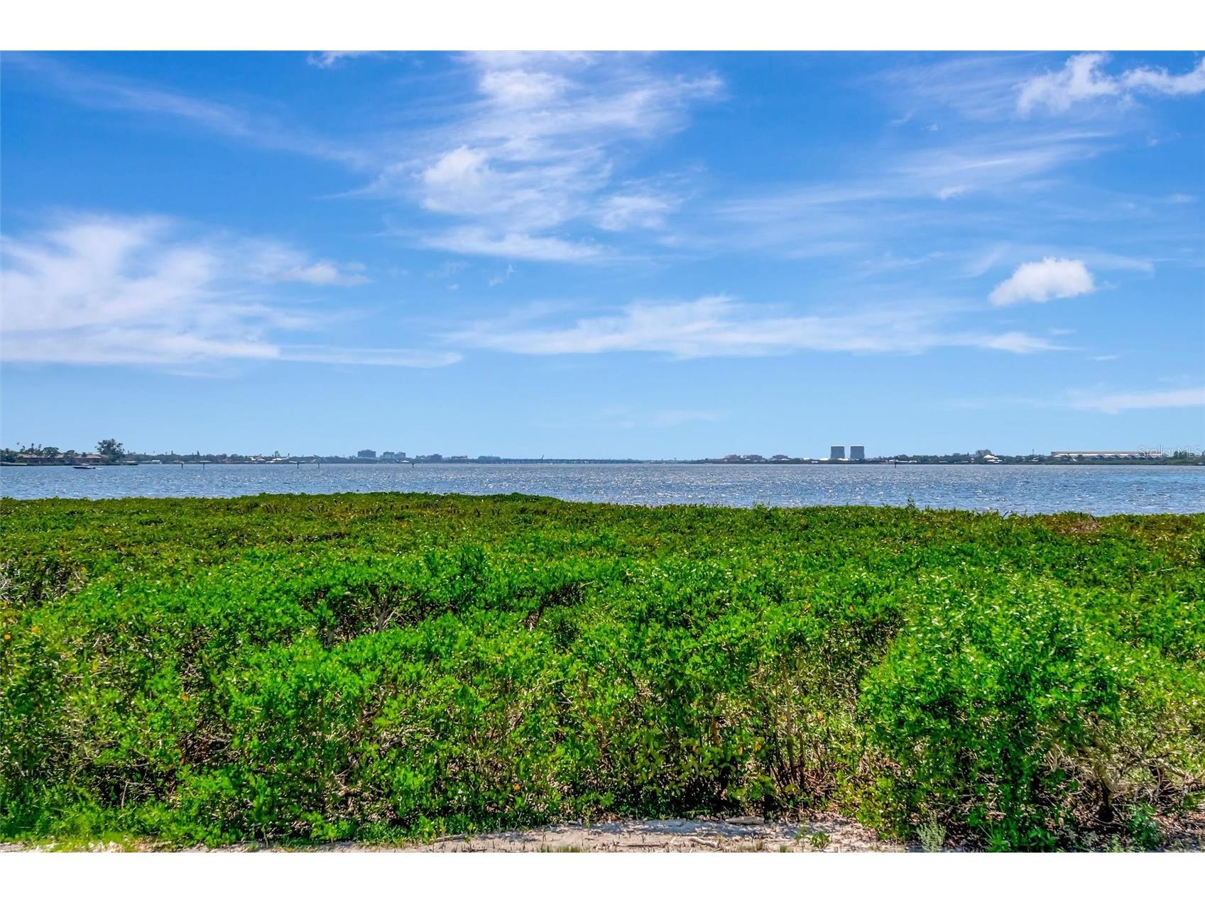 850 Tidewater Shores Loop #105 Bradenton FL 34208 - MANATEE RIVER A4693447 image38