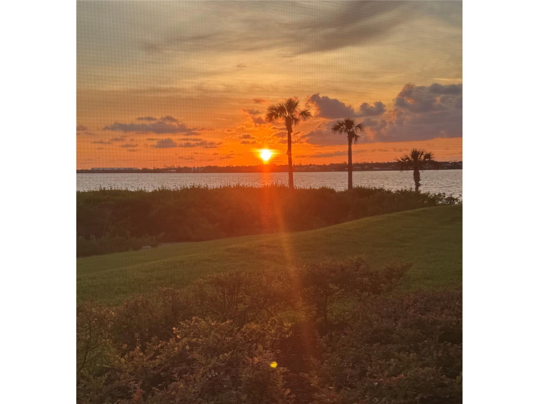 850 Tidewater Shores Loop #105 Bradenton FL 34208 - MANATEE RIVER A4693447 image70