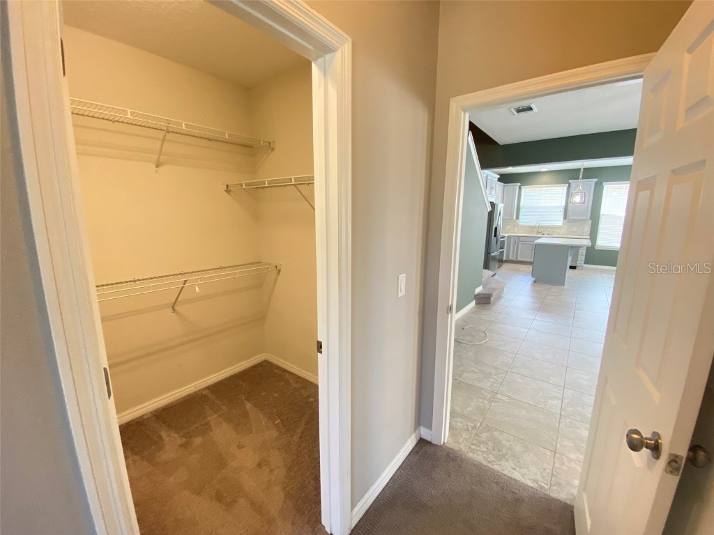 8500 Iron Mountain Trail Windermere FL 34786 O6356548 image14