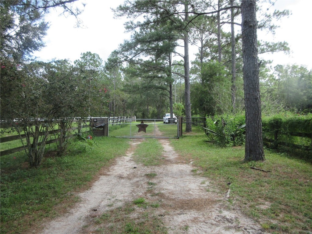 8500 NE 41st Court Anthony FL 32617 OM713024 image100