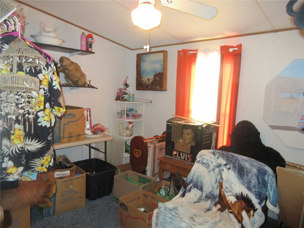 8500 NE 41st Court Anthony FL 32617 OM713024 image29